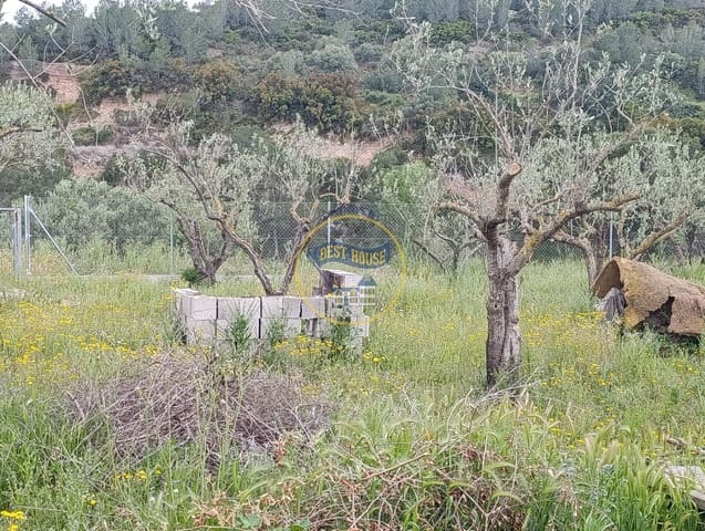 1 sovrum Finca/Hus på landet till salu i Aielo de Malferit - 18 000 € (Ref: 9797314)