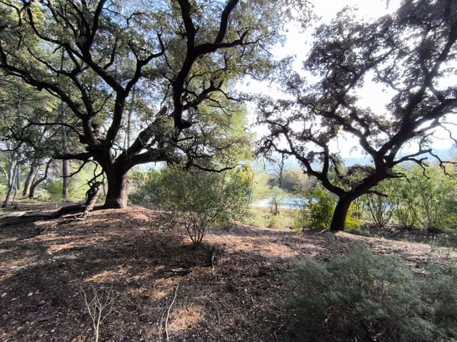 5 soveværelse Finca/Landehus til salg i Ontinyent - € 195.000 (Ref: 9806637)