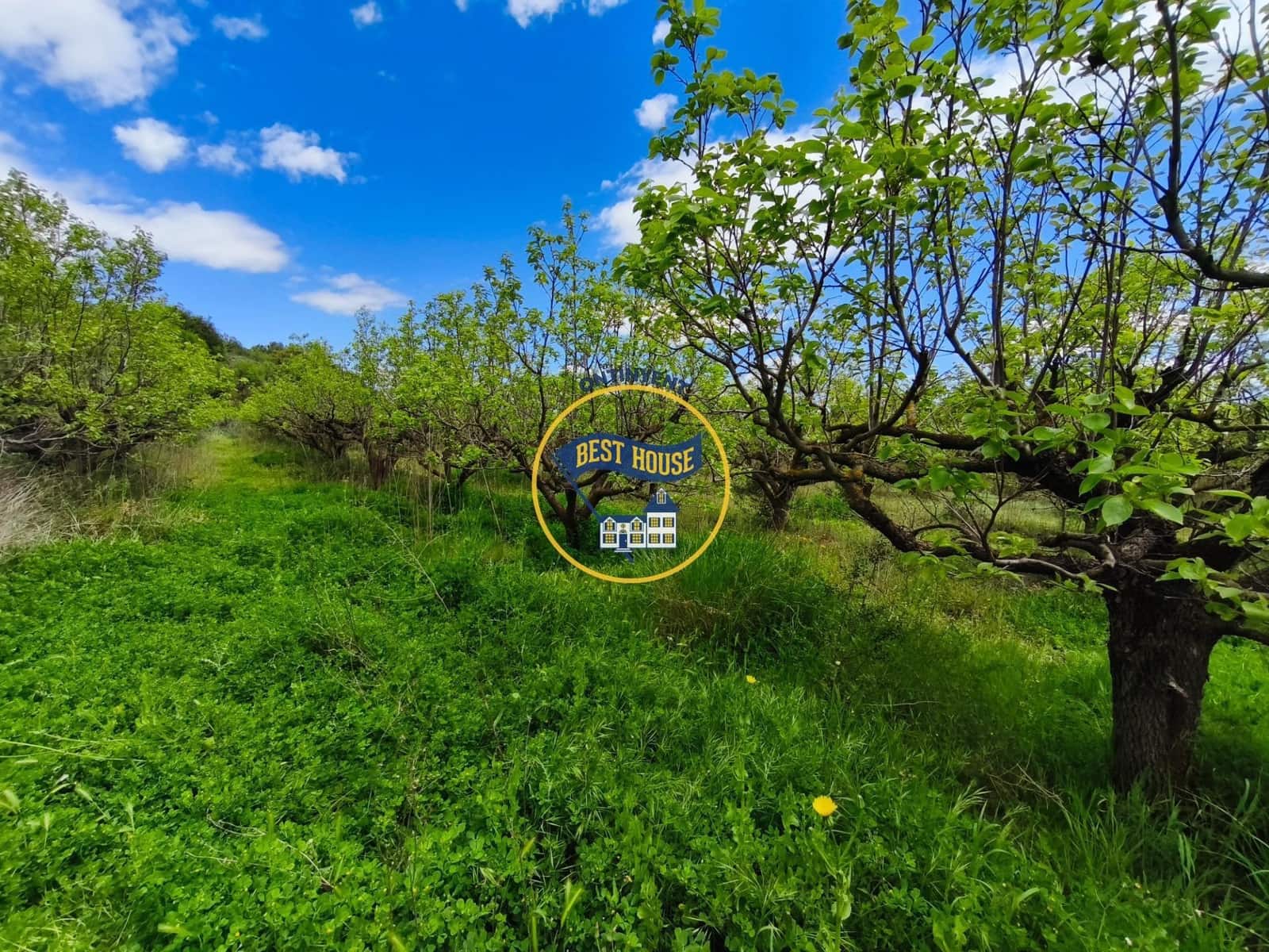 Landgrundstück zu verkaufen in Benisoda - 33.000 € (Ref: 9831711)
