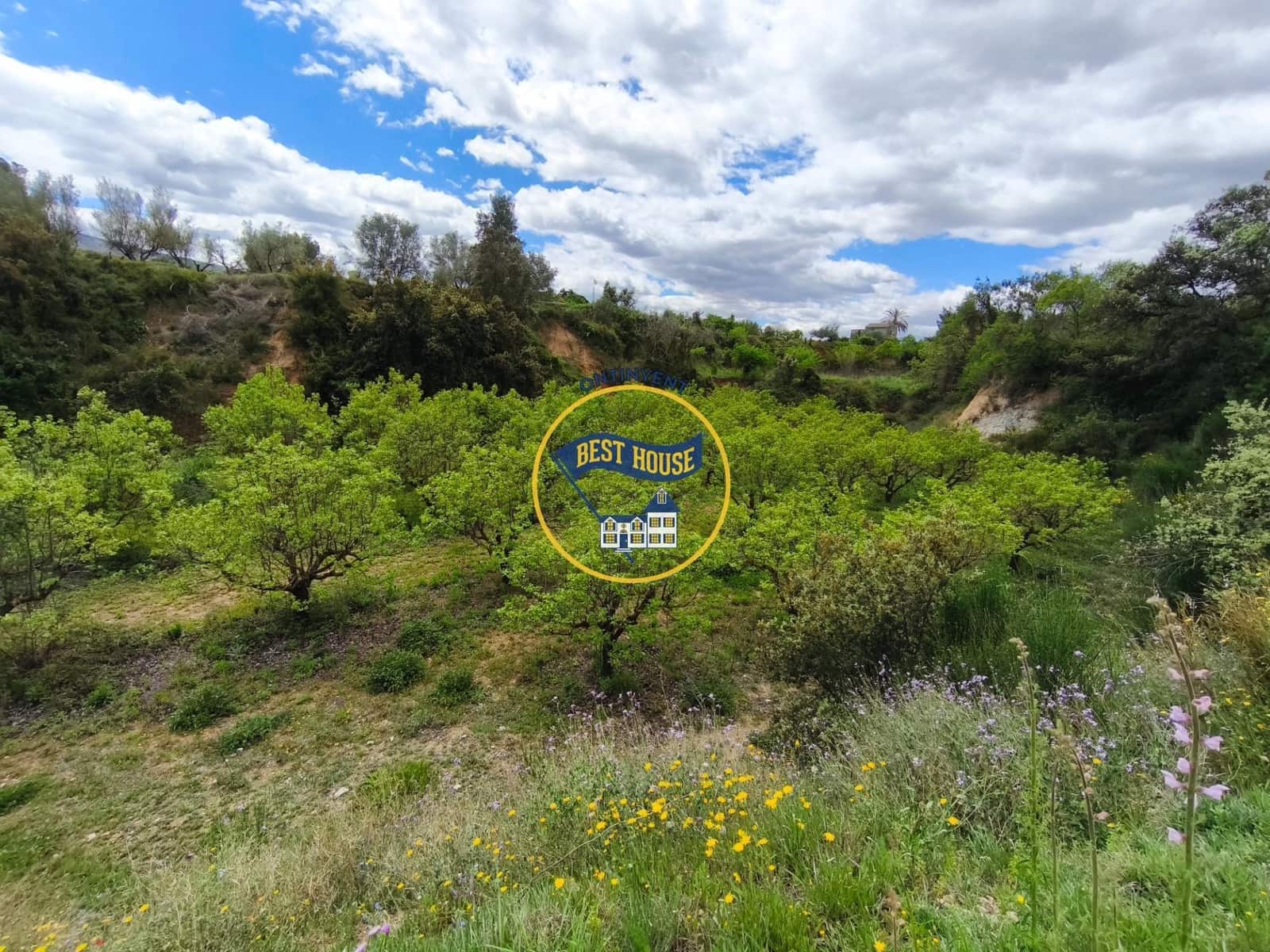 Landgrundstück zu verkaufen in Benisoda - 33.000 € (Ref: 9831711)