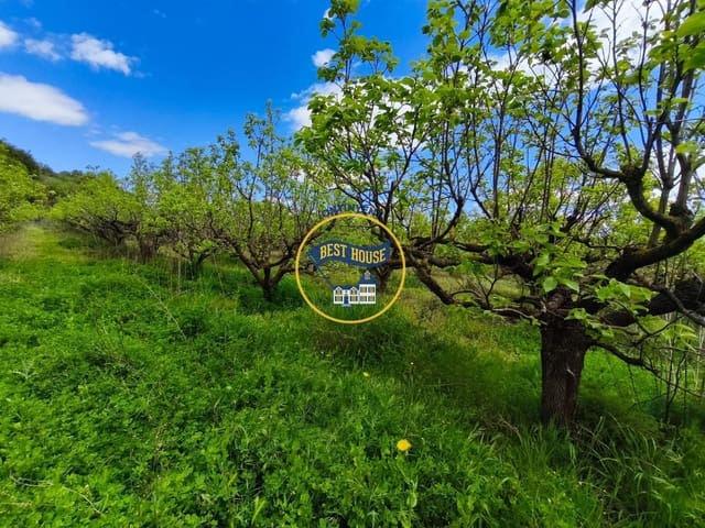 Landgrundstück zu verkaufen in Benisoda - 33.000 € (Ref: 9831711)