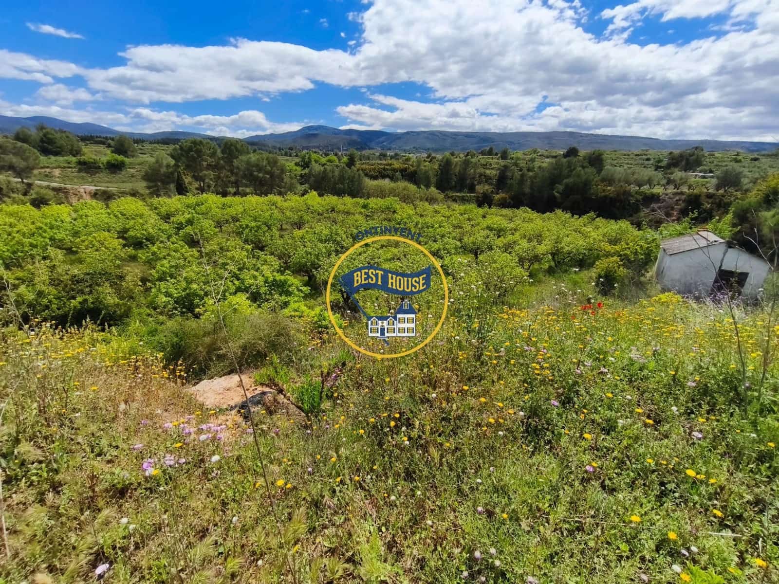 Landgrundstück zu verkaufen in Benisoda - 33.000 € (Ref: 9831711)