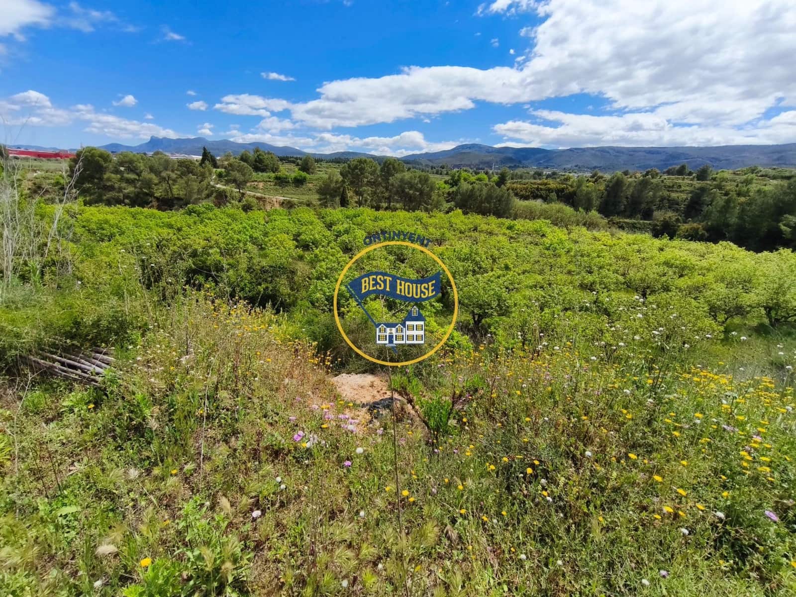 Landgrundstück zu verkaufen in Benisoda - 33.000 € (Ref: 9831711)