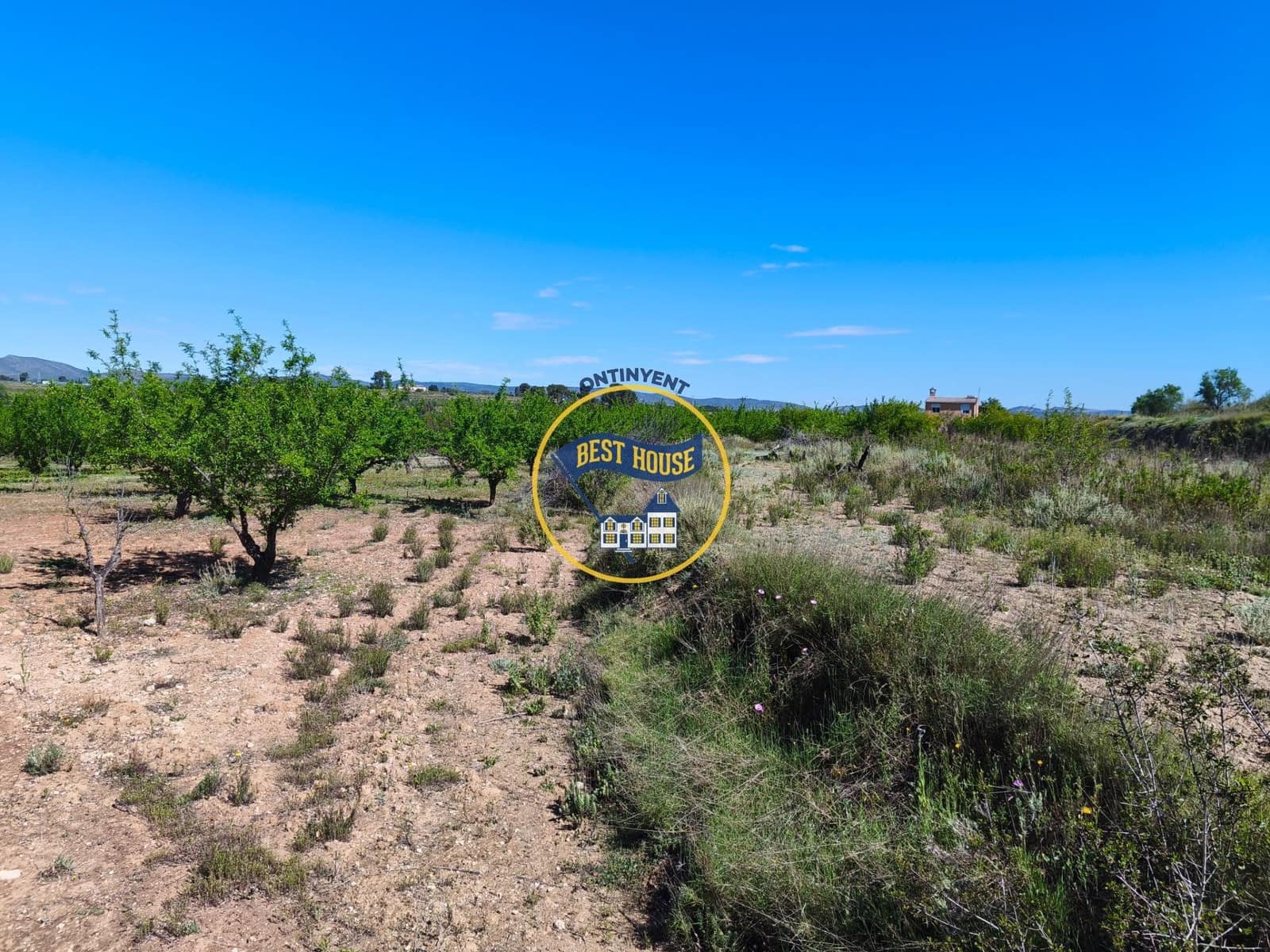 1 bedroom Finca/Country House for sale in Albaida - € 85,000 (Ref: 9831712)