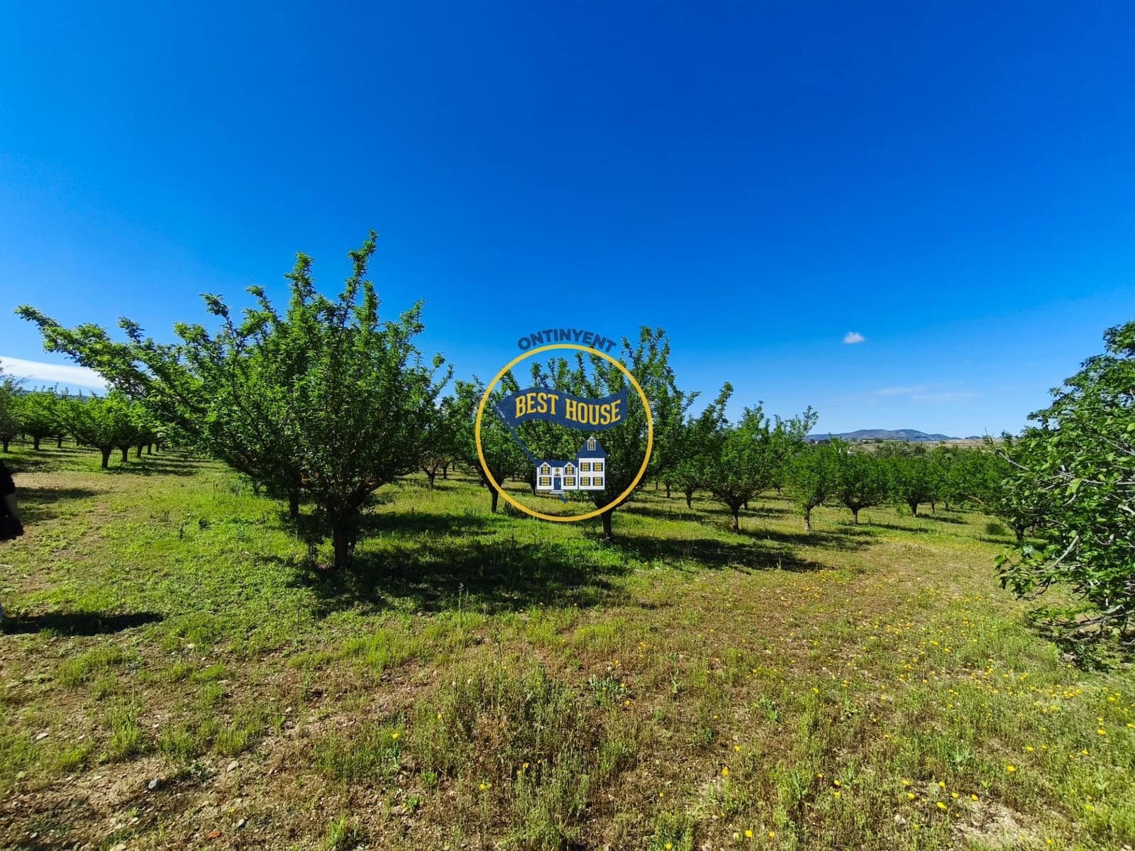 1 bedroom Finca/Country House for sale in Albaida - € 85,000 (Ref: 9831712)