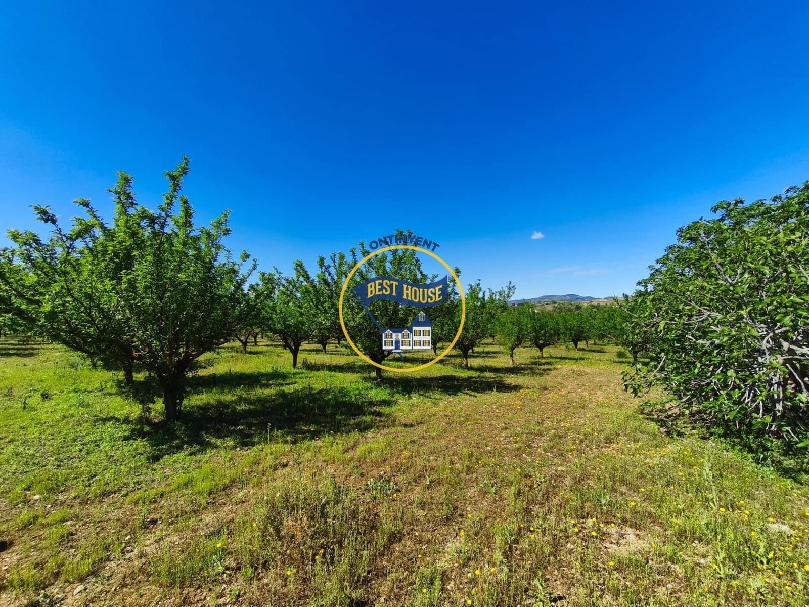 1 bedroom Finca/Country House for sale in Albaida - € 85,000 (Ref: 9831712)