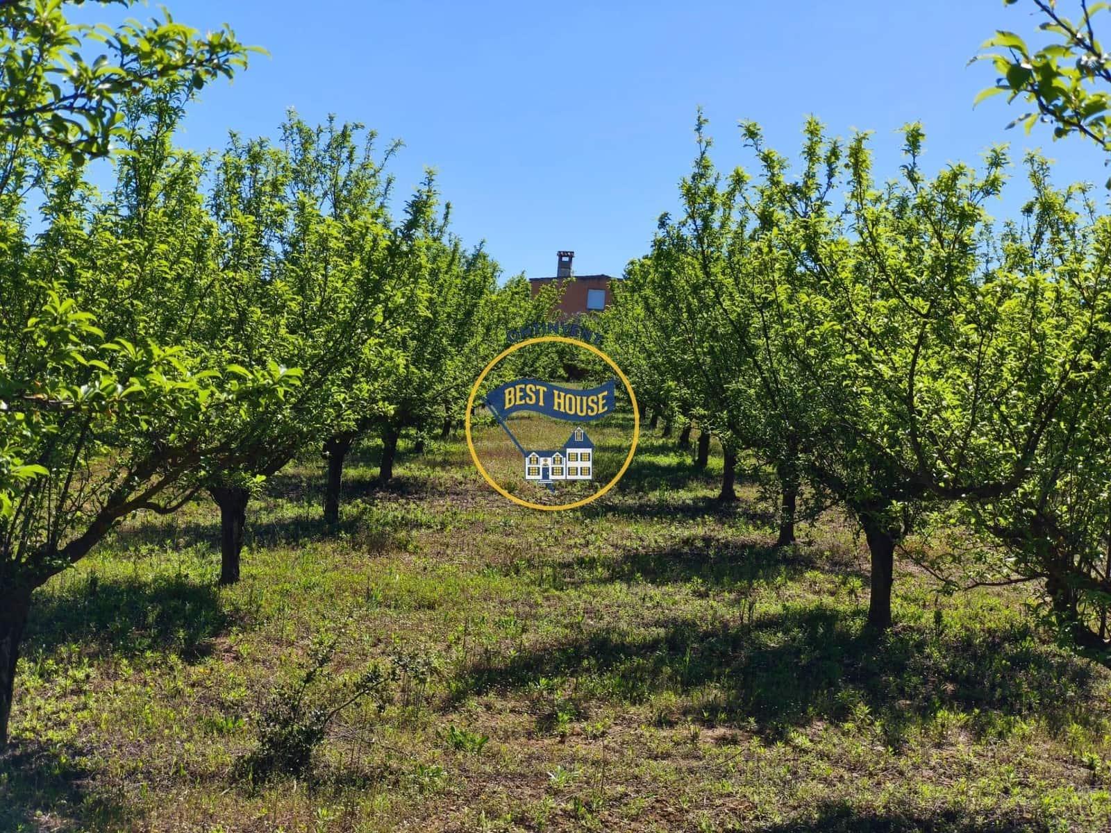 1 bedroom Finca/Country House for sale in Albaida - € 85,000 (Ref: 9831712)