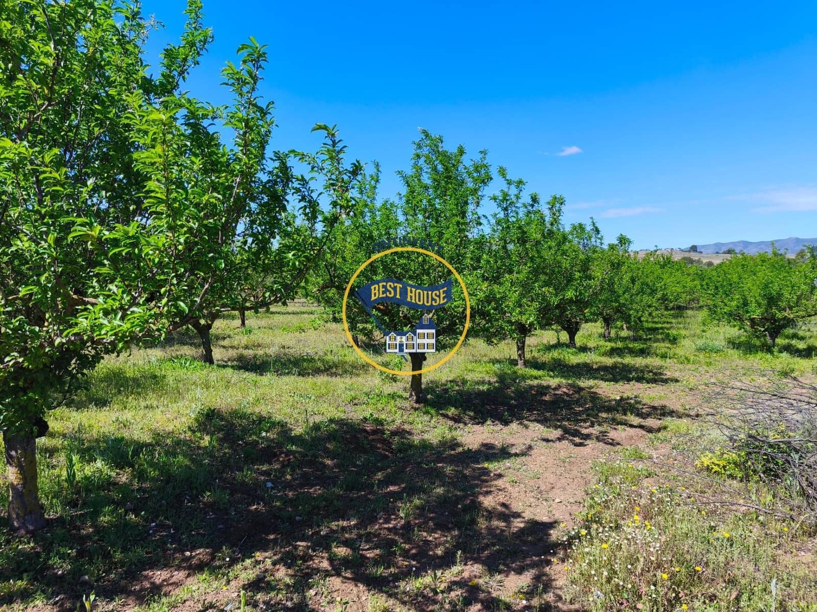 1 bedroom Finca/Country House for sale in Albaida - € 85,000 (Ref: 9831712)
