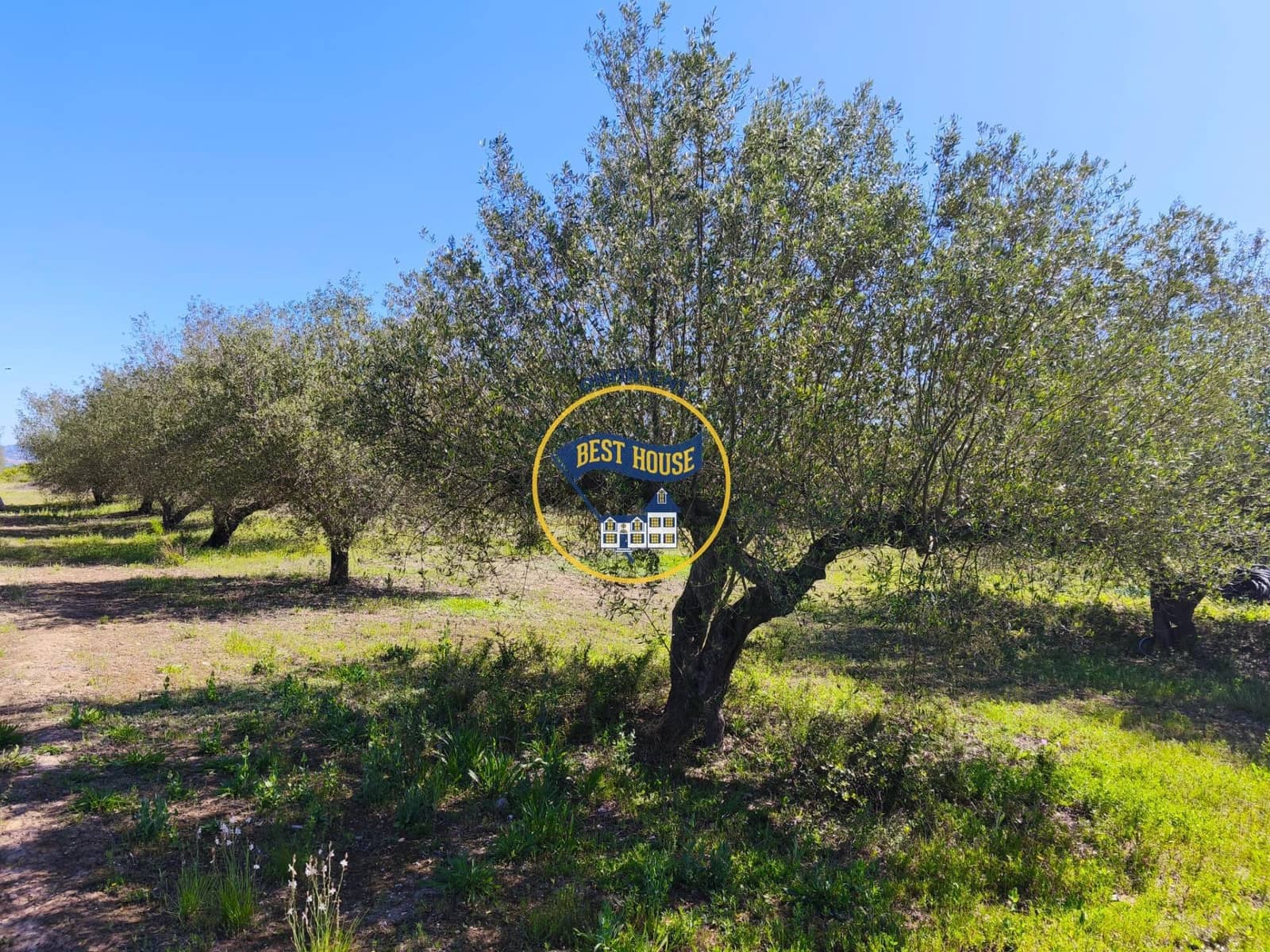 1 bedroom Finca/Country House for sale in Albaida - € 85,000 (Ref: 9831712)