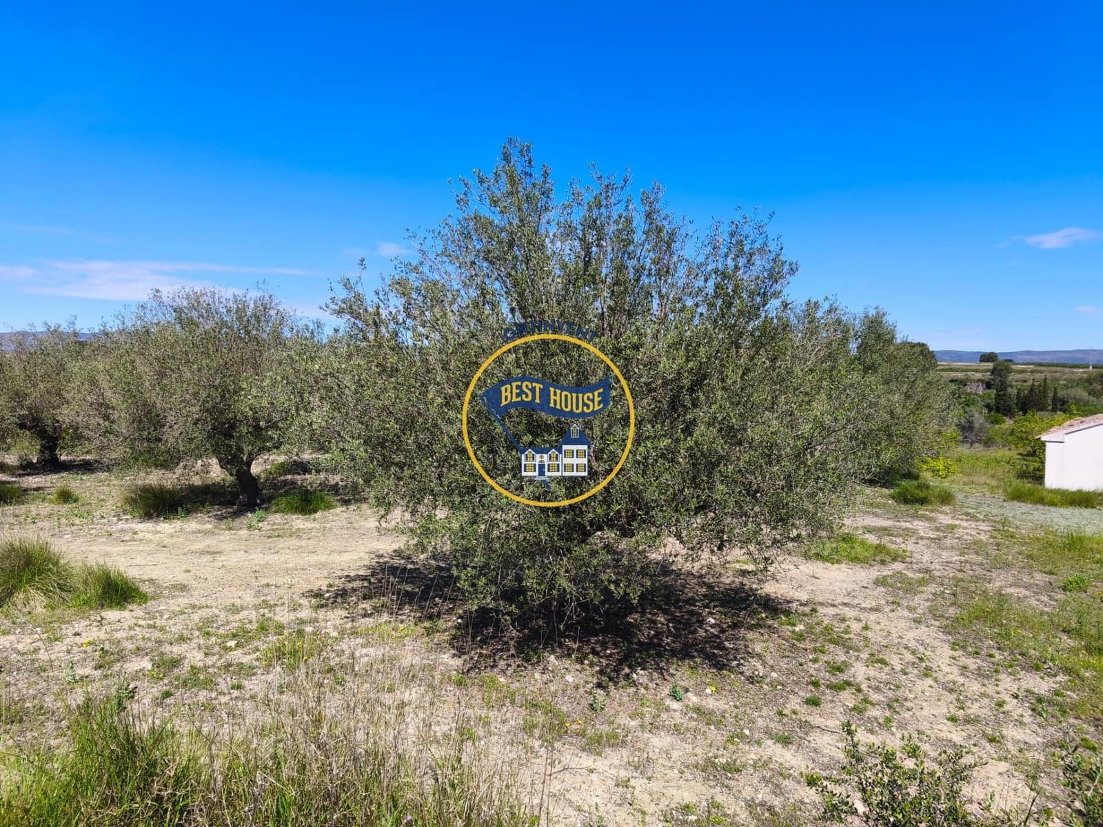 1 bedroom Finca/Country House for sale in Albaida - € 85,000 (Ref: 9831712)