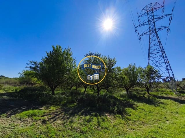 Landgrundstück zu verkaufen in Albaida - 22.000 € (Ref: 9831713)