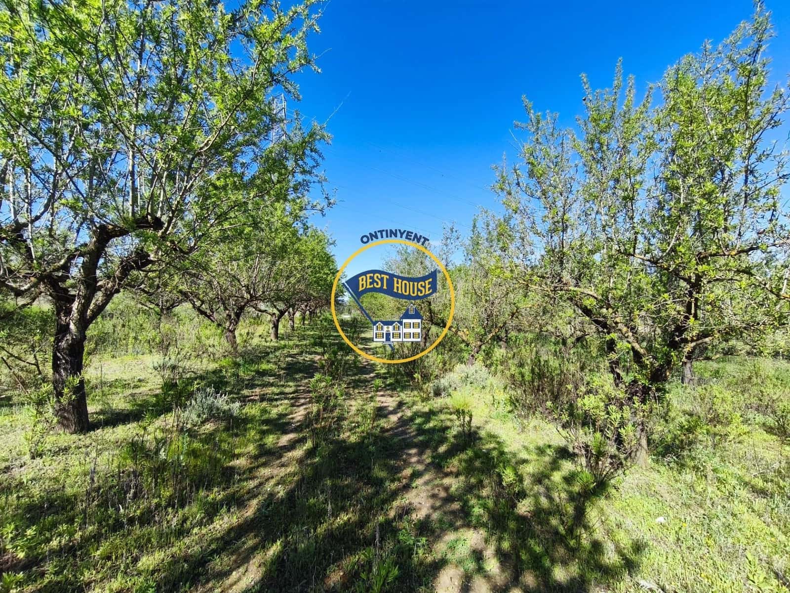 Landgrundstück zu verkaufen in Albaida - 22.000 € (Ref: 9831713)