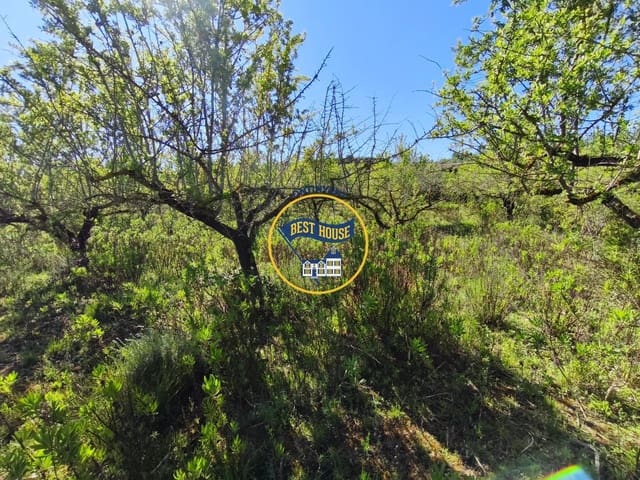 Landgrundstück zu verkaufen in Albaida - 22.000 € (Ref: 9831713)