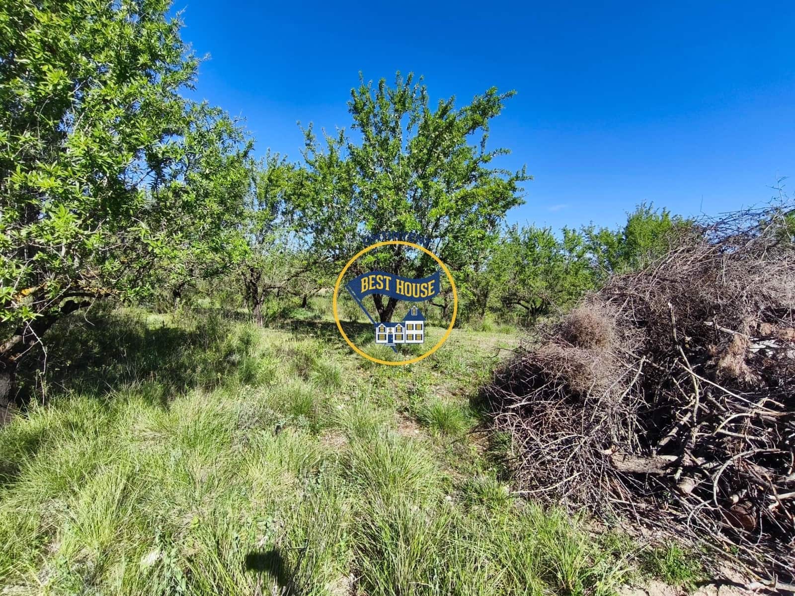 Landgrundstück zu verkaufen in Albaida - 22.000 € (Ref: 9831713)