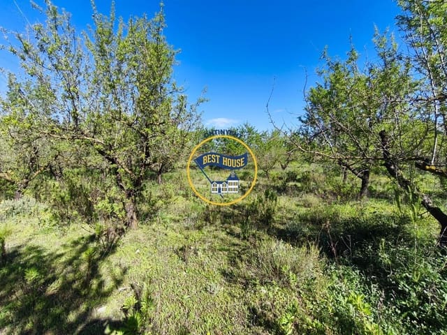 Landgrundstück zu verkaufen in Albaida - 22.000 € (Ref: 9831713)