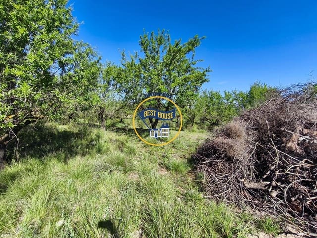 Landgrundstück zu verkaufen in Albaida - 22.000 € (Ref: 9831713)