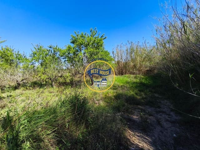 Landgrundstück zu verkaufen in Albaida - 22.000 € (Ref: 9831713)