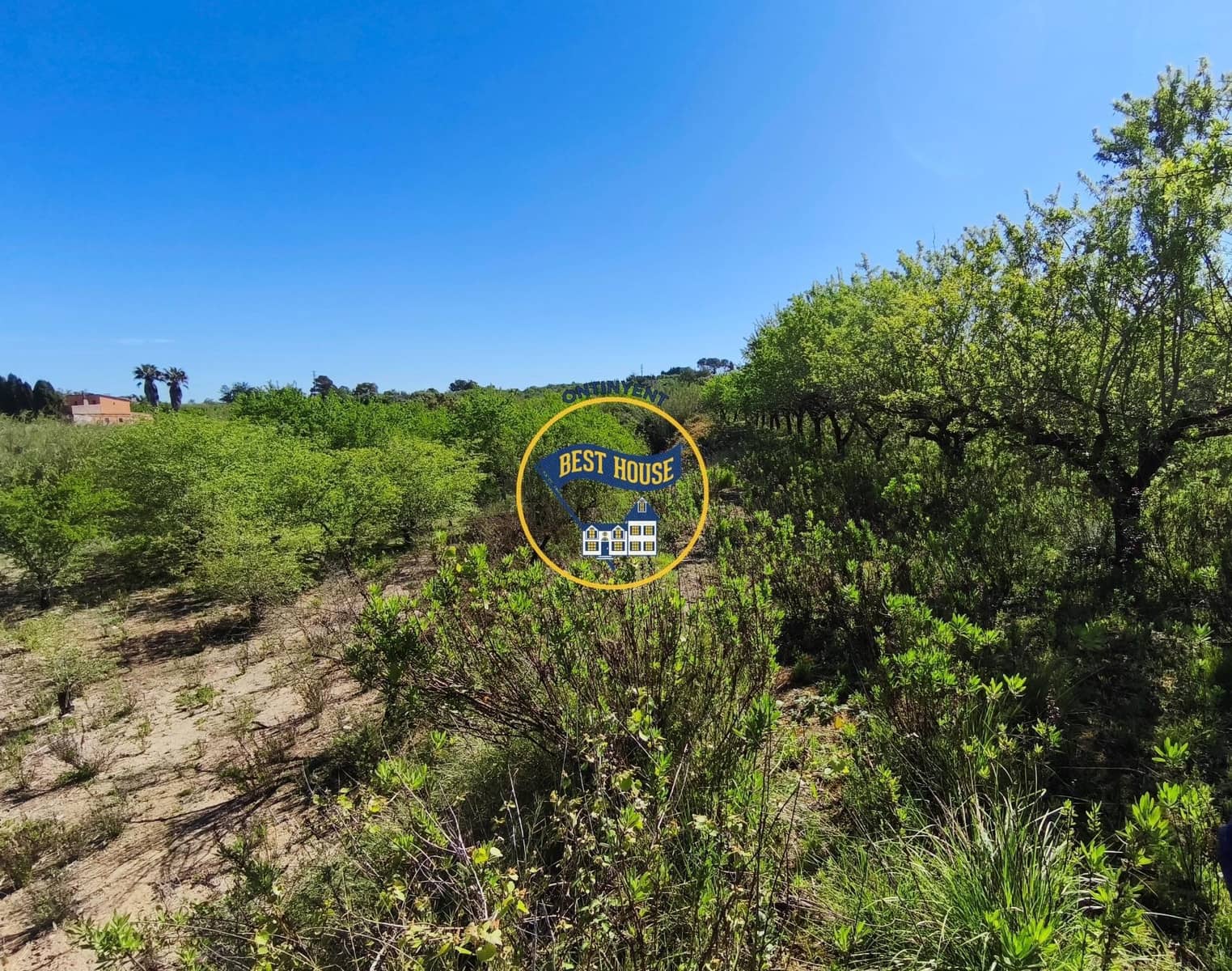 Landgrundstück zu verkaufen in Albaida - 22.000 € (Ref: 9831713)