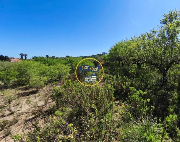Landgrundstück zu verkaufen in Albaida - 22.000 € (Ref: 9831713)