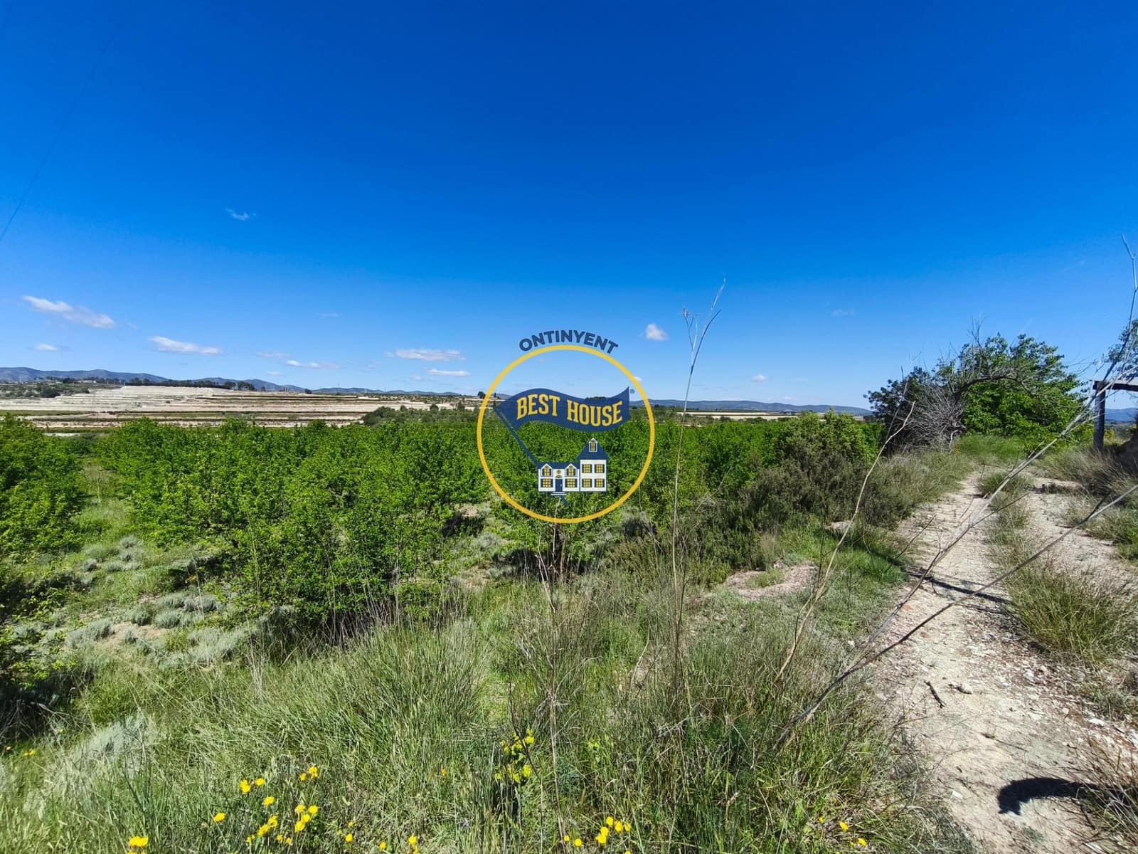 Landgrundstück zu verkaufen in Albaida - 217.000 € (Ref: 9831714)