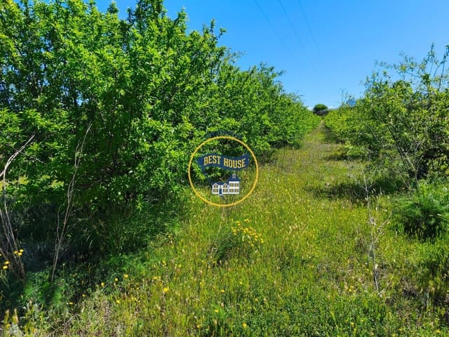 Landgrundstück zu verkaufen in Albaida - 217.000 € (Ref: 9831714)