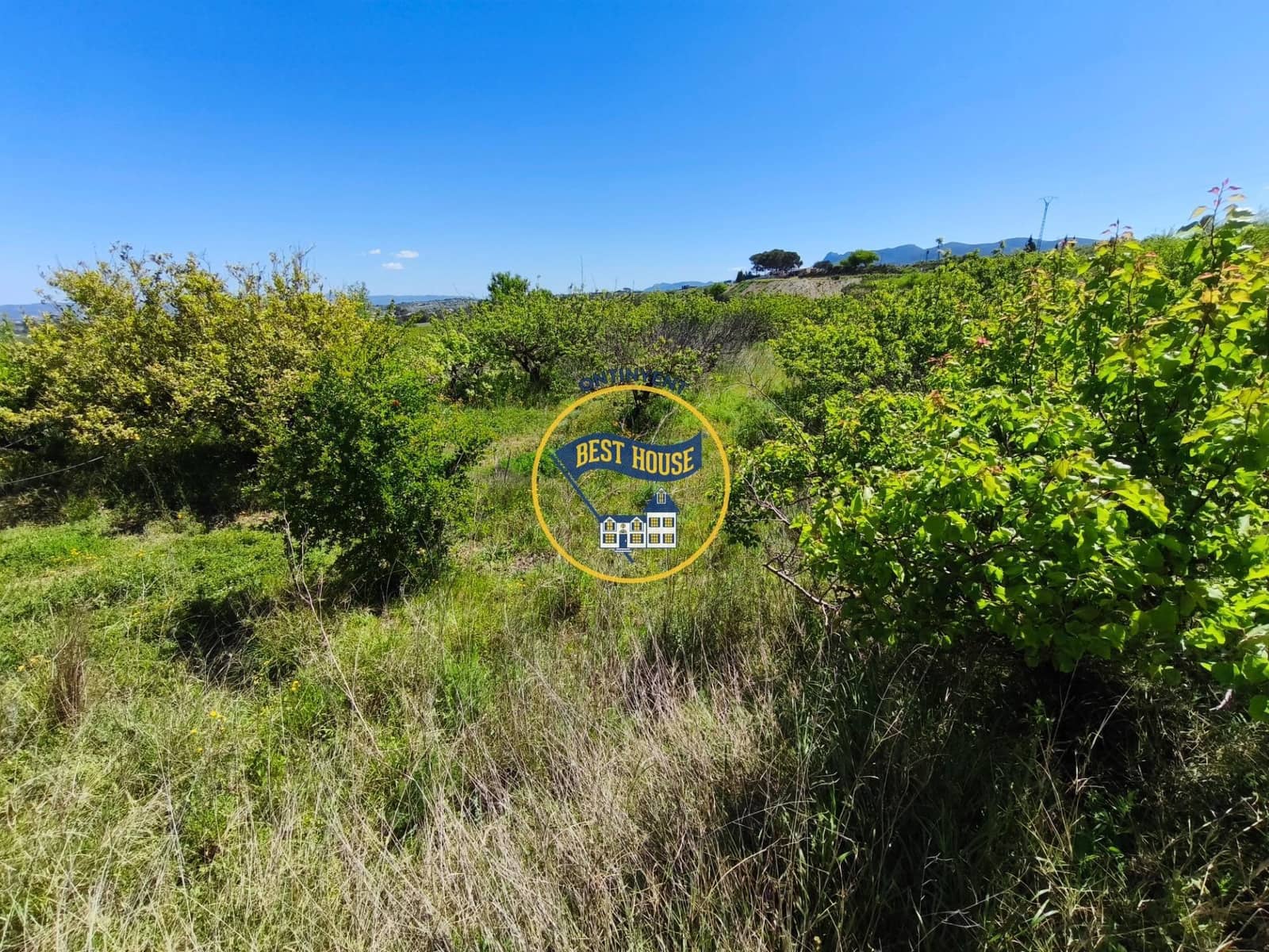 Landgrundstück zu verkaufen in Albaida - 217.000 € (Ref: 9831714)