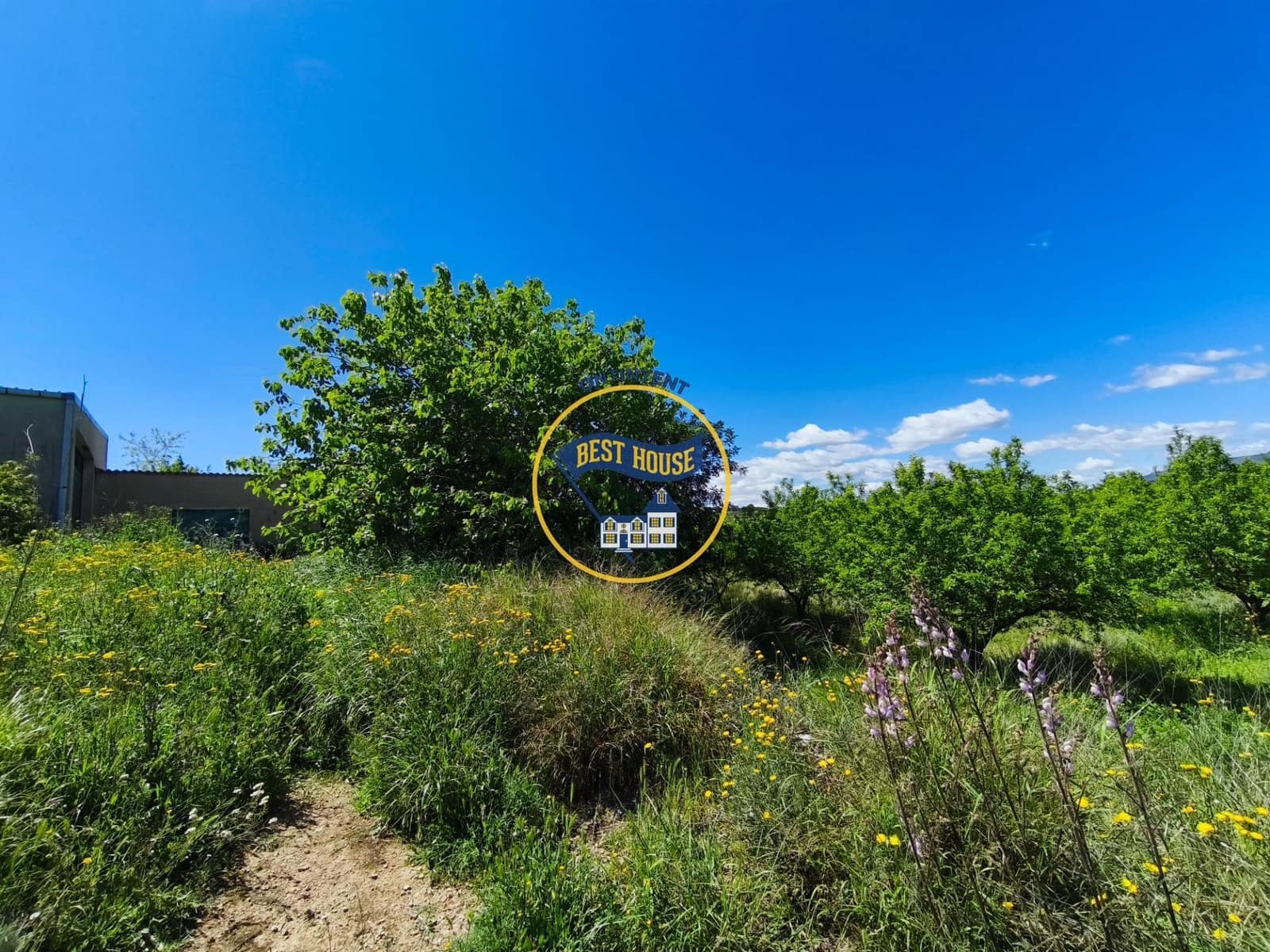 Landgrundstück zu verkaufen in Albaida - 217.000 € (Ref: 9831714)