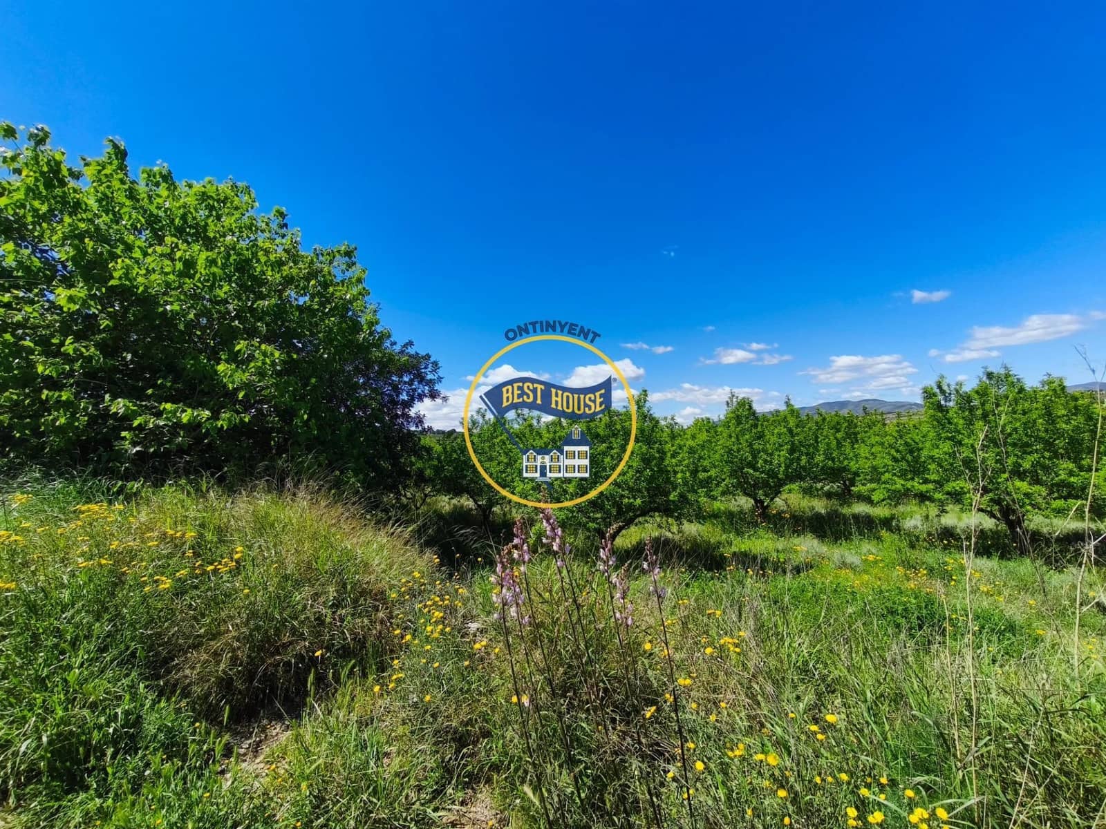 Landgrundstück zu verkaufen in Albaida - 217.000 € (Ref: 9831714)