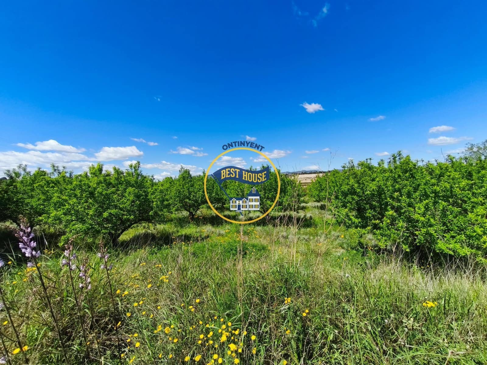 Landgrundstück zu verkaufen in Albaida - 217.000 € (Ref: 9831714)