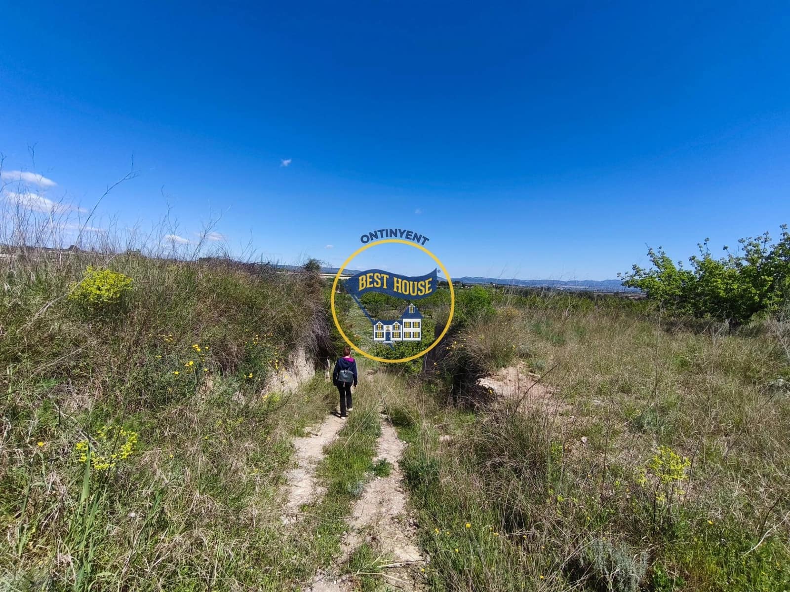 Landgrundstück zu verkaufen in Albaida - 217.000 € (Ref: 9831714)