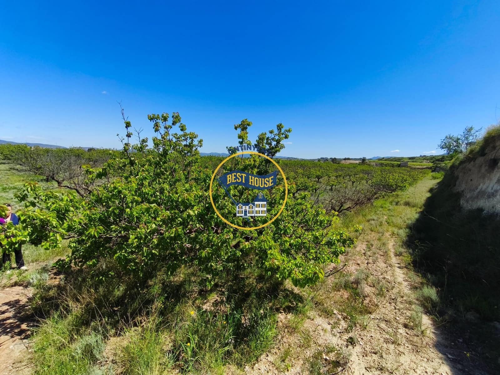 Landgrundstück zu verkaufen in Albaida - 217.000 € (Ref: 9831714)