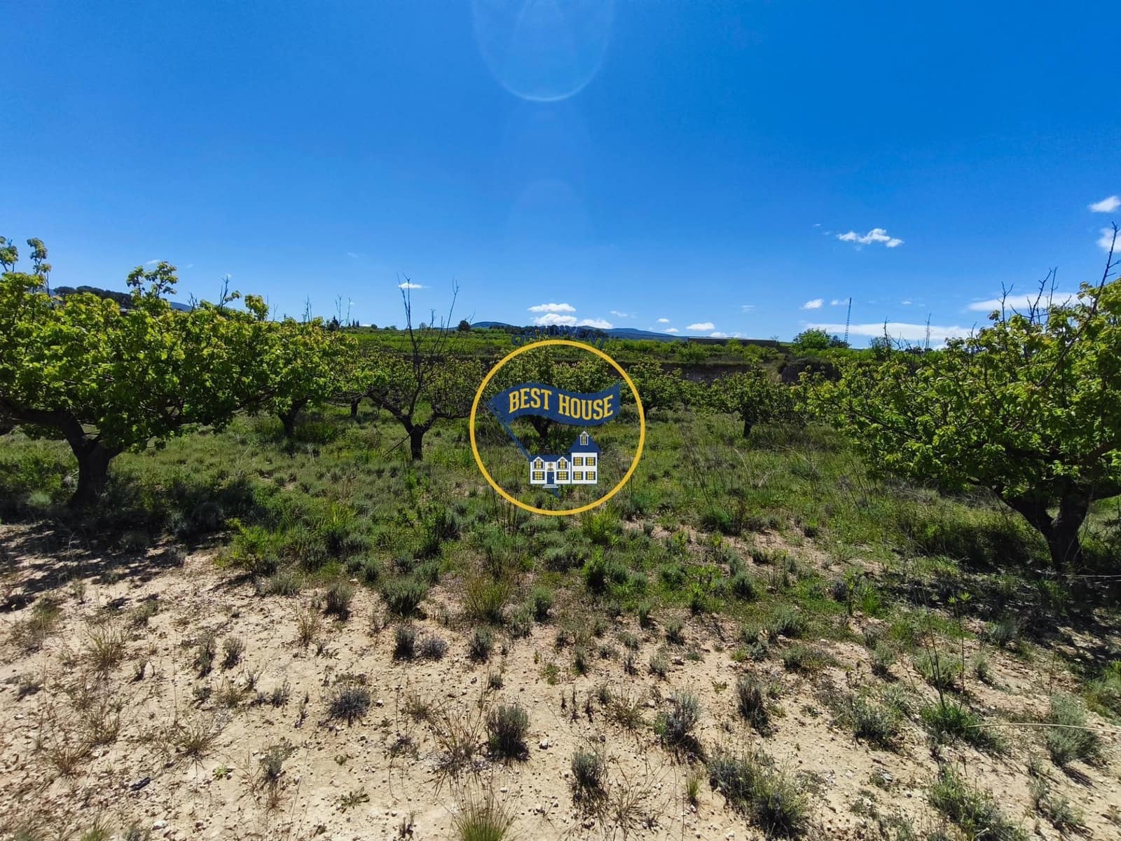 Landgrundstück zu verkaufen in Albaida - 217.000 € (Ref: 9831714)