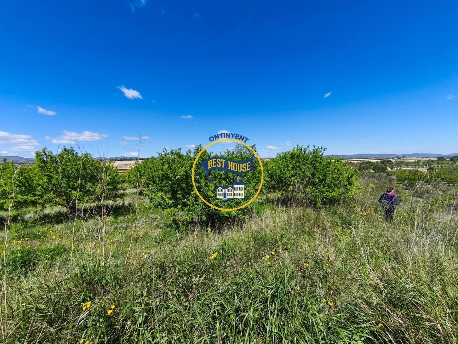 Landgrundstück zu verkaufen in Albaida - 217.000 € (Ref: 9831714)