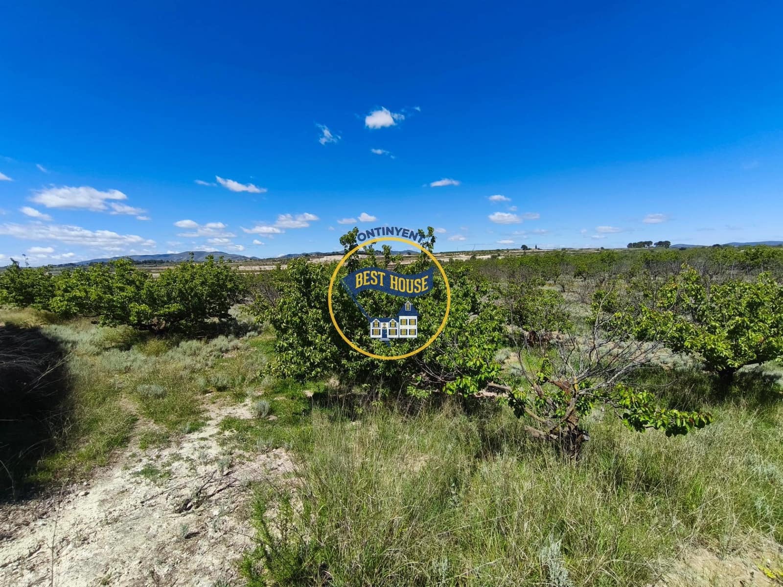Landgrundstück zu verkaufen in Albaida - 217.000 € (Ref: 9831714)