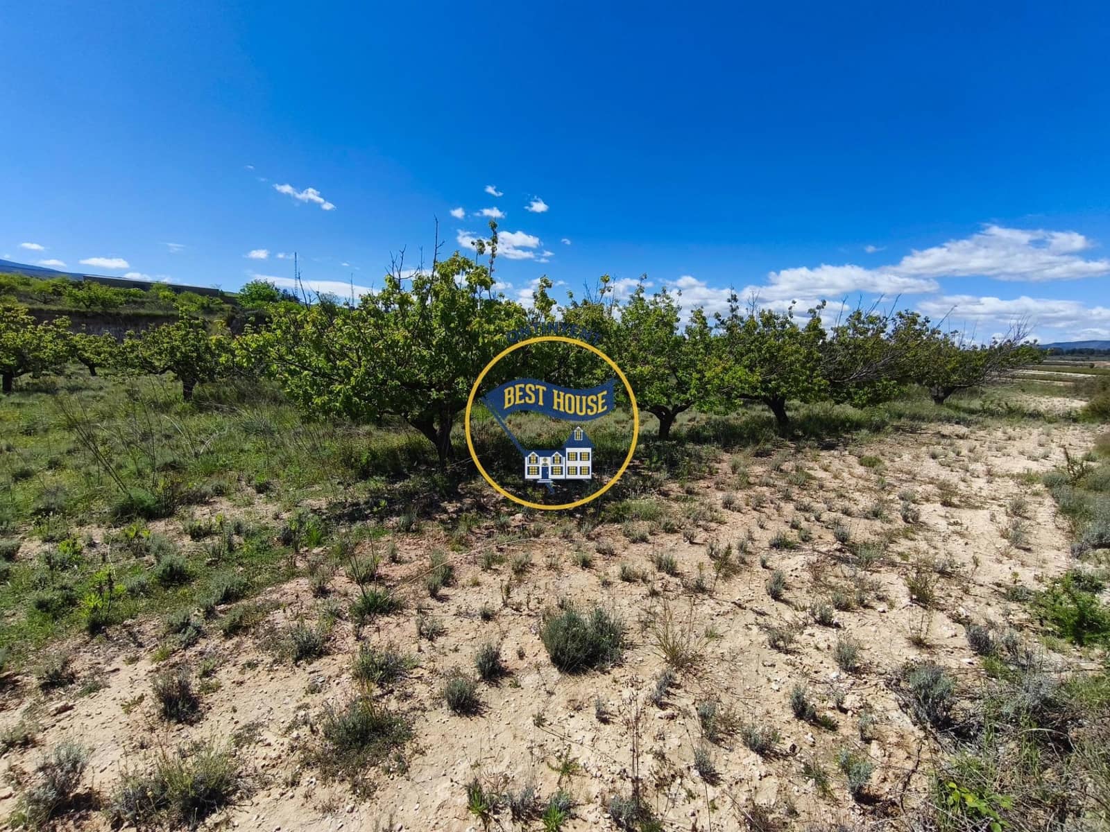 Landgrundstück zu verkaufen in Albaida - 217.000 € (Ref: 9831714)