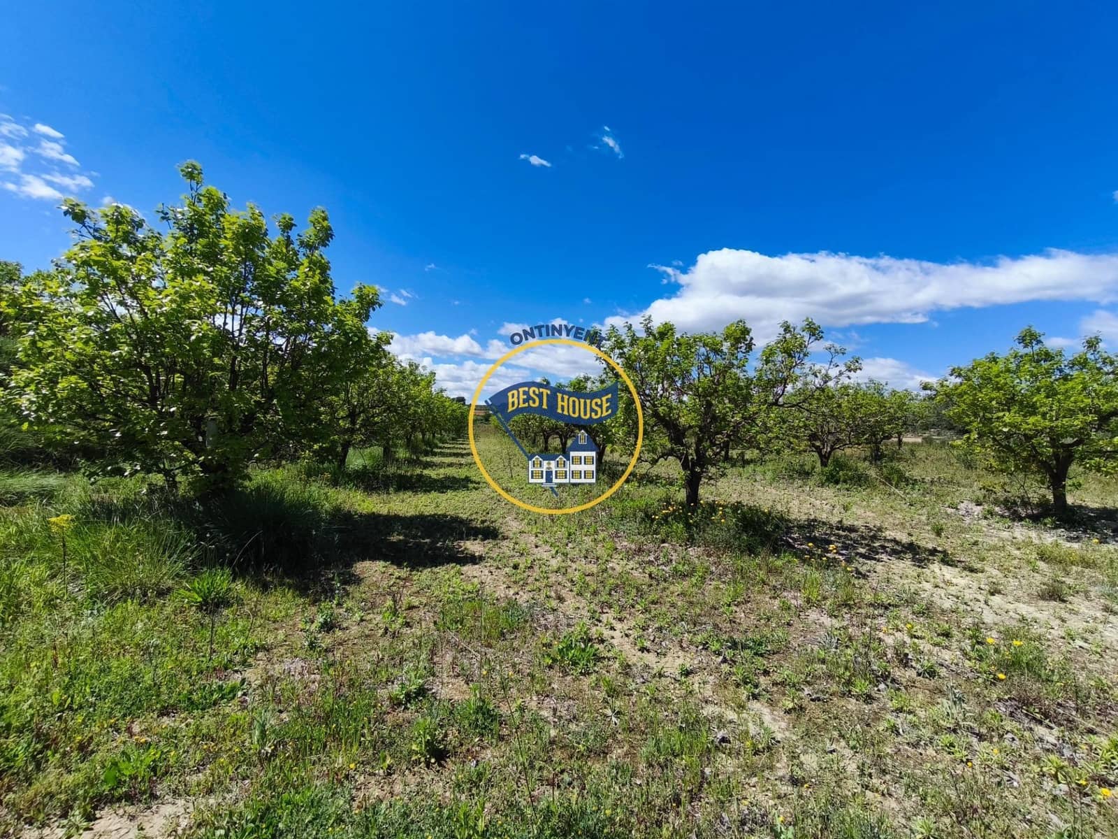 Terreno Não Urbanizado para venda em Agullent - 112 000 € (Ref: 9831715)