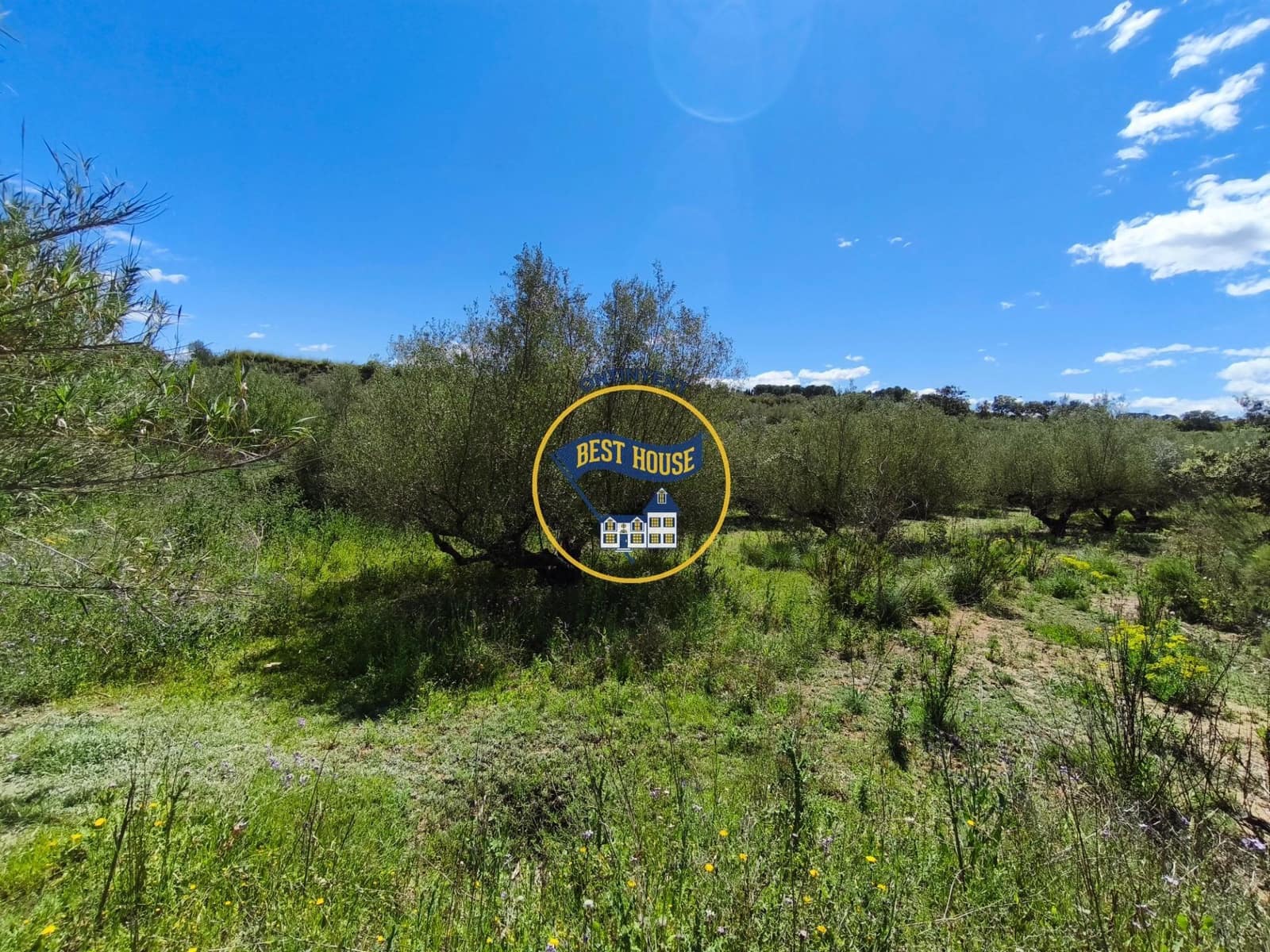 Terreno Não Urbanizado para venda em Agullent - 112 000 € (Ref: 9831715)