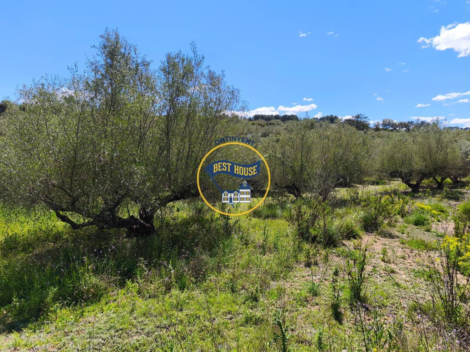 Terreno Não Urbanizado para venda em Agullent - 112 000 € (Ref: 9831715)