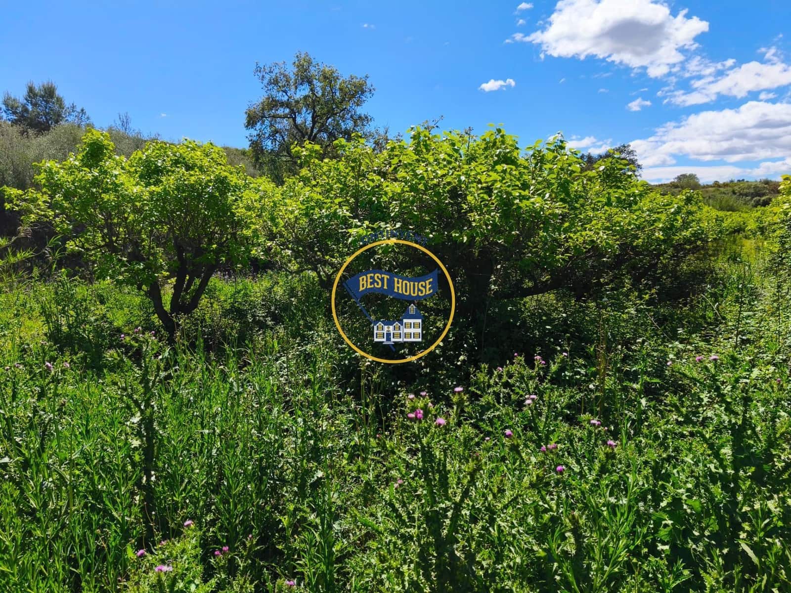 Terreno Não Urbanizado para venda em Agullent - 112 000 € (Ref: 9831715)
