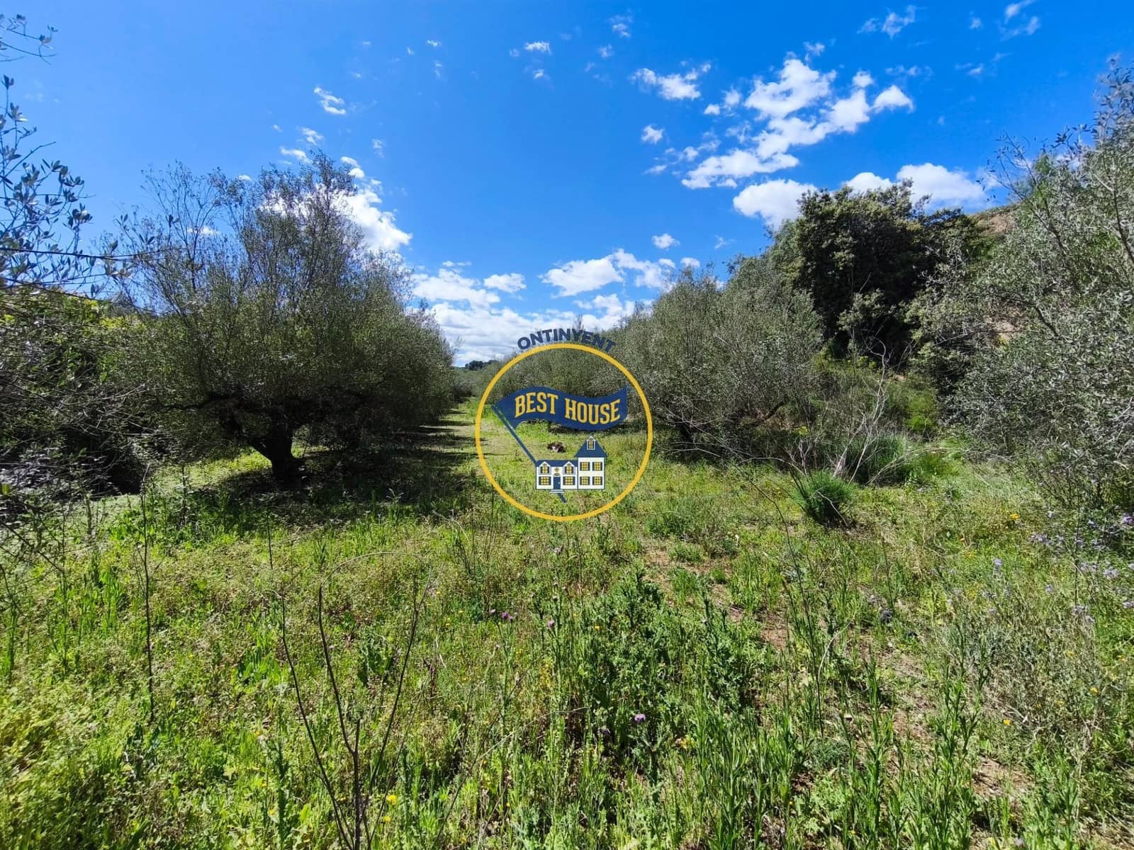 Terreno Não Urbanizado para venda em Agullent - 112 000 € (Ref: 9831715)