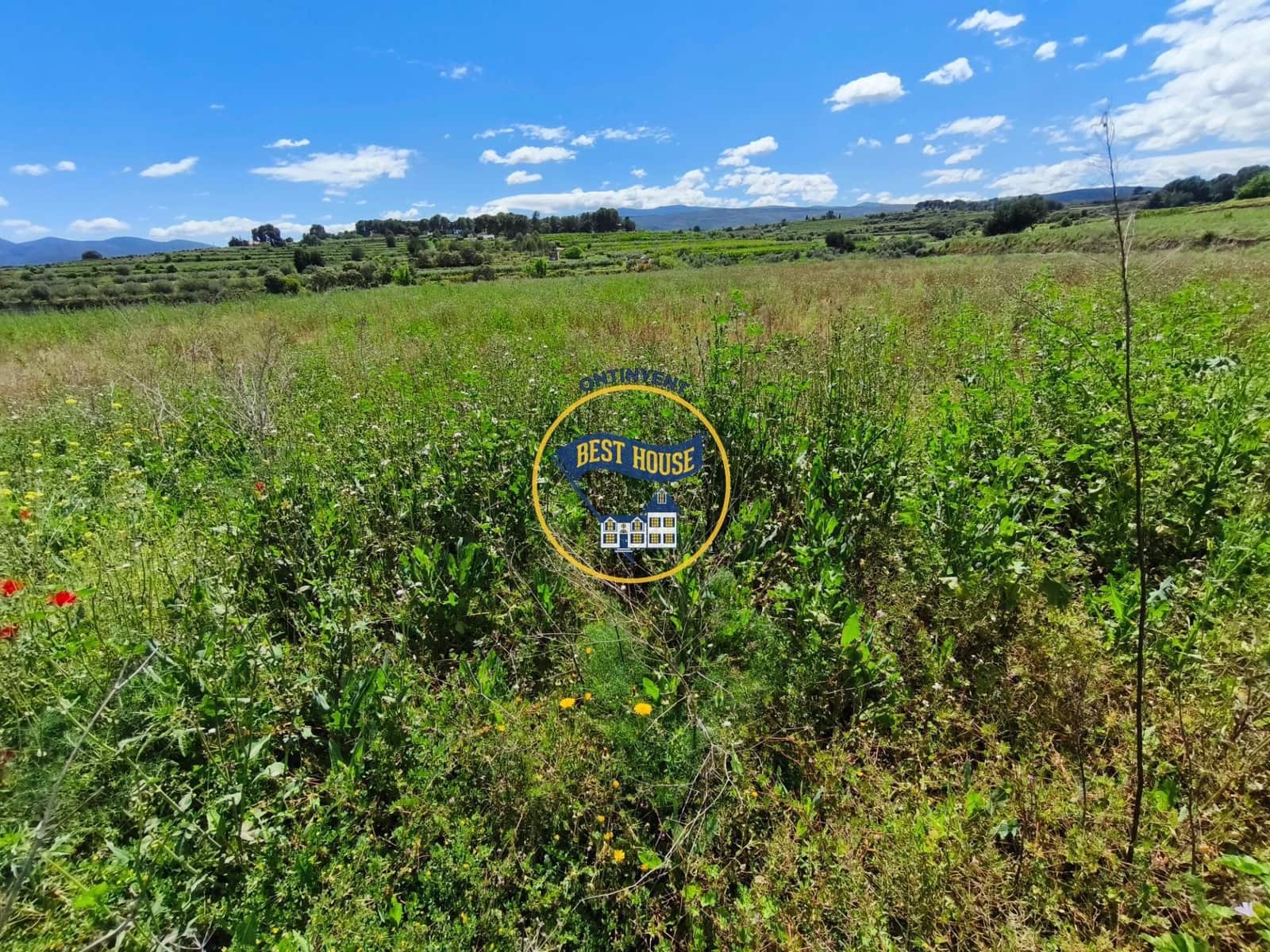 Terreno Não Urbanizado para venda em Agullent - 112 000 € (Ref: 9831715)