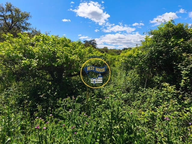 Terreno Não Urbanizado para venda em Agullent - 112 000 € (Ref: 9831715)