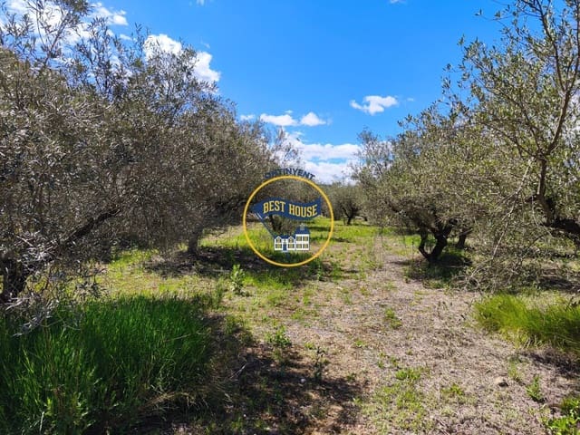 Terreno Não Urbanizado para venda em Agullent - 112 000 € (Ref: 9831715)
