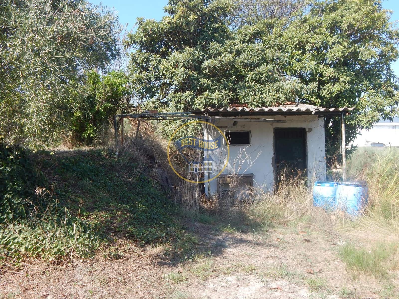 Undeveloped Land for sale in Ontinyent - € 10,600 (Ref: 9940333)