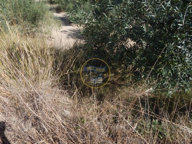 Undeveloped Land for sale in Ontinyent - € 10,600 (Ref: 9940333)
