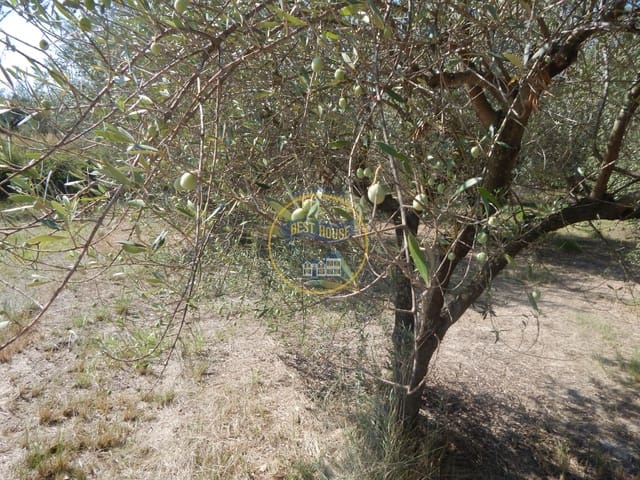 Undeveloped Land for sale in Ontinyent - € 10,600 (Ref: 9940333)