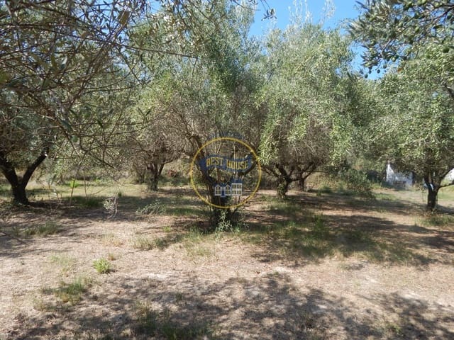 Undeveloped Land for sale in Ontinyent - € 10,600 (Ref: 9940333)
