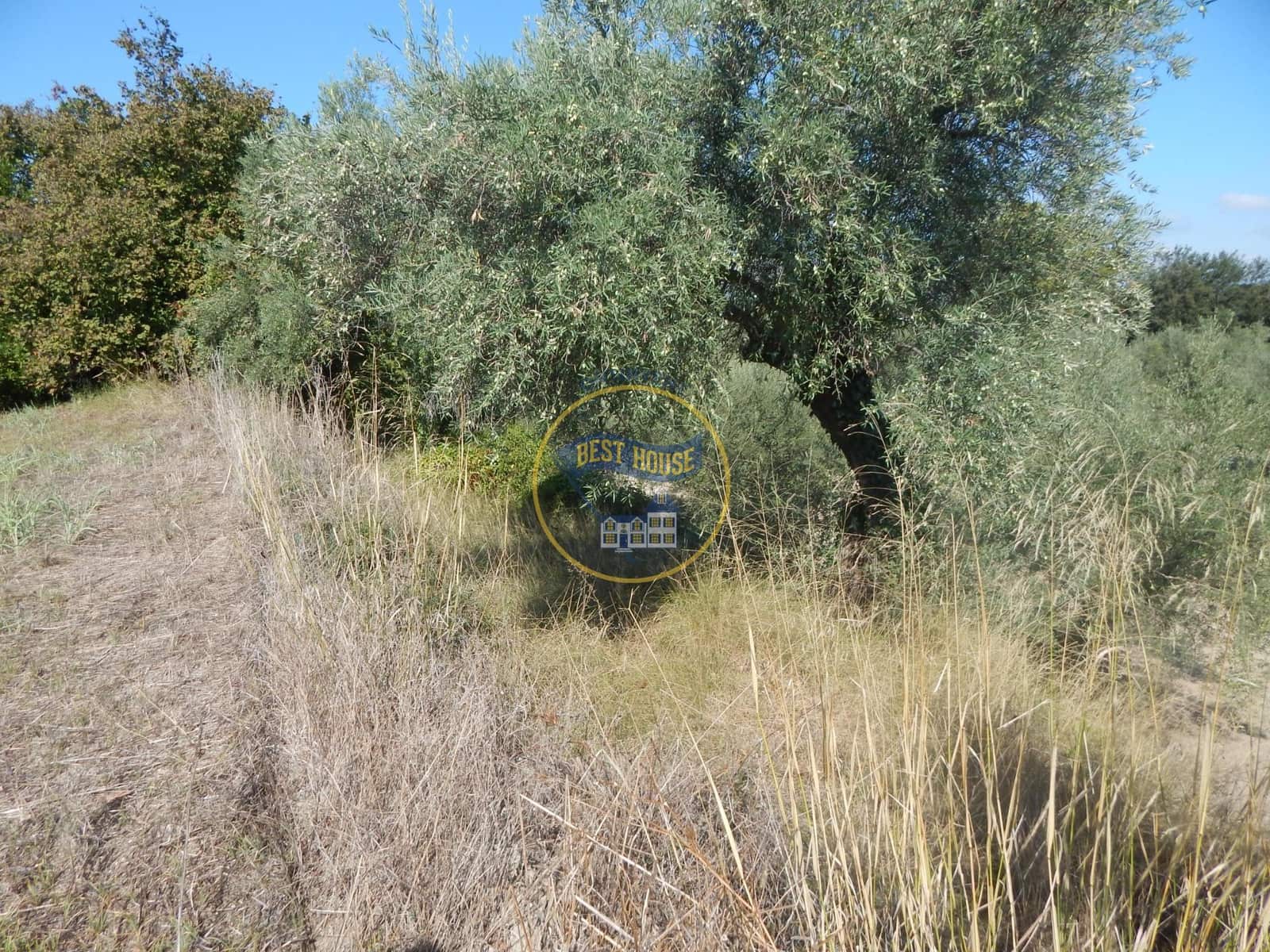 Undeveloped Land for sale in Ontinyent - € 10,600 (Ref: 9940333)