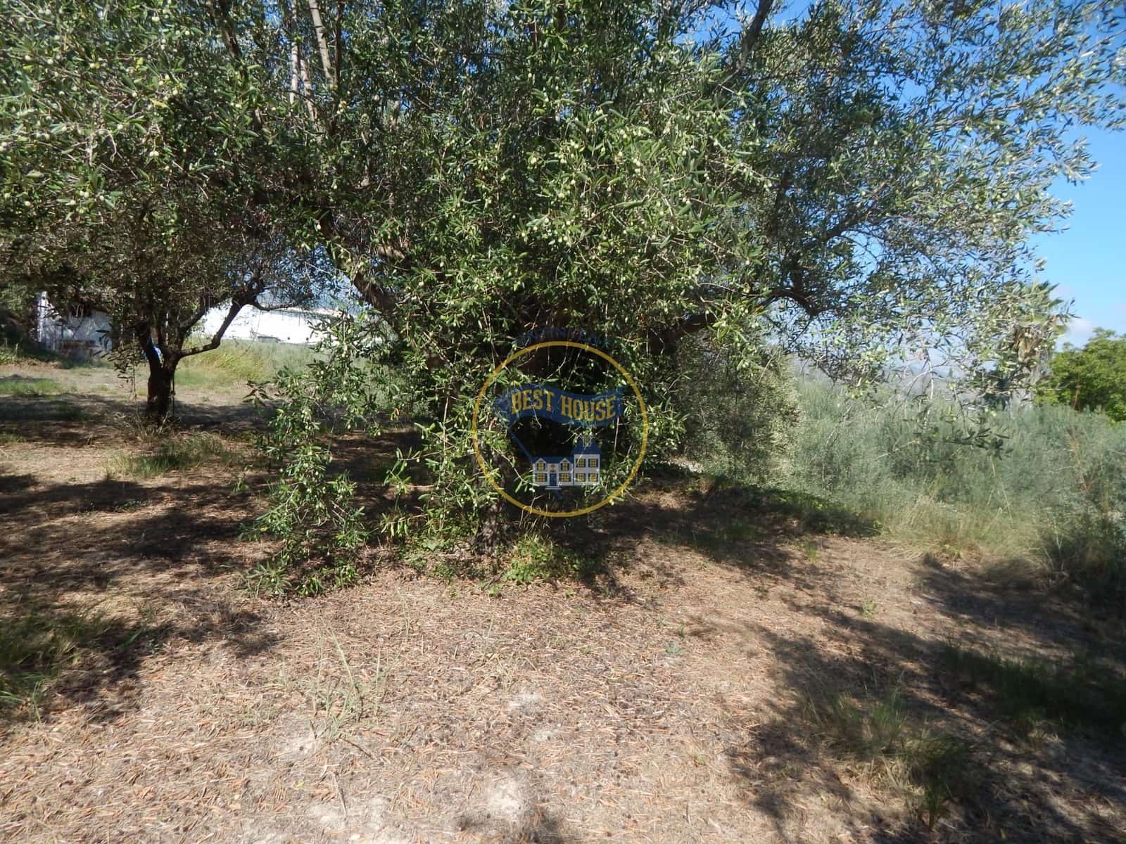 Undeveloped Land for sale in Ontinyent - € 10,600 (Ref: 9940333)