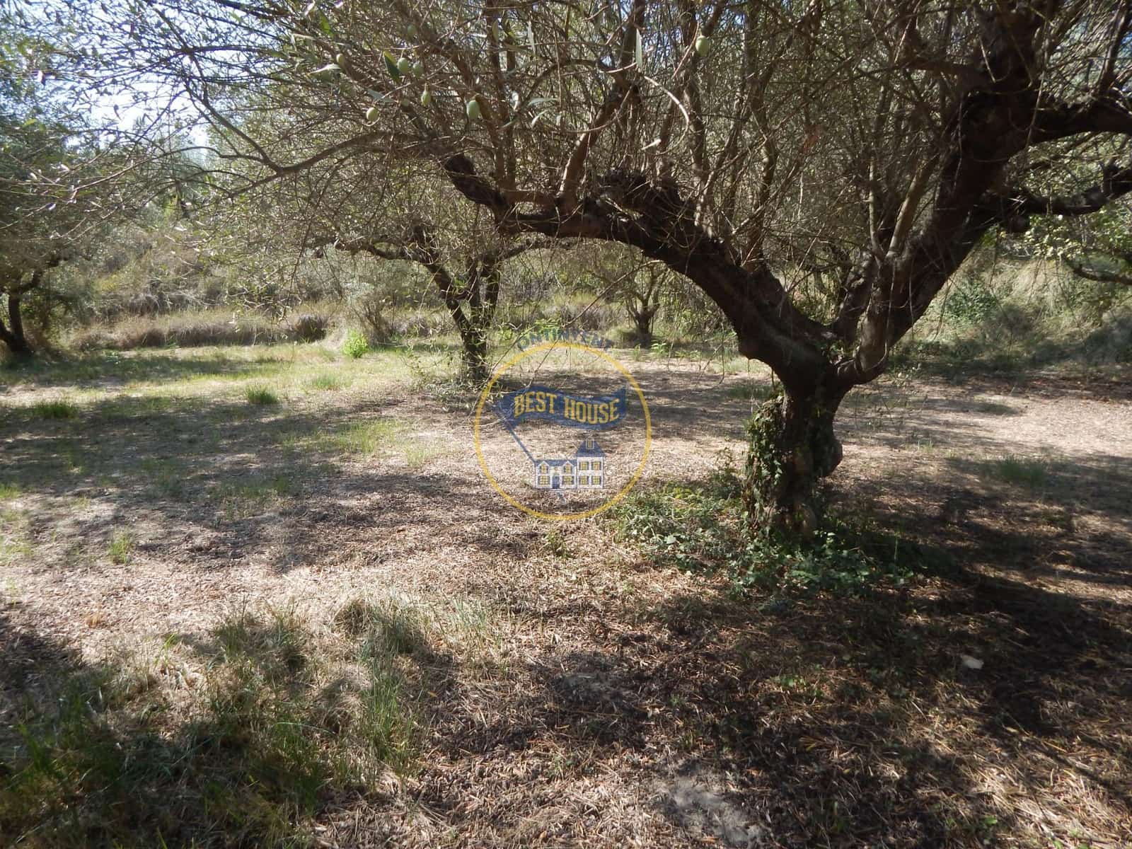 Undeveloped Land for sale in Ontinyent - € 10,600 (Ref: 9940333)